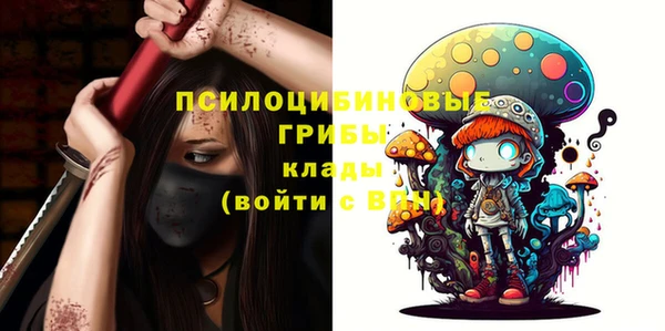 спиды Краснослободск