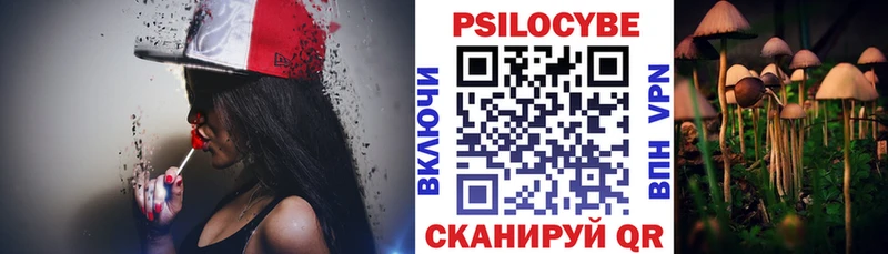 где купить наркотик  Пушкино  Галлюциногенные грибы мицелий 